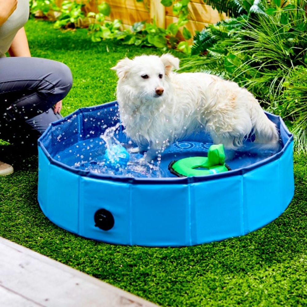 Outdoor doggy pool (small breads)